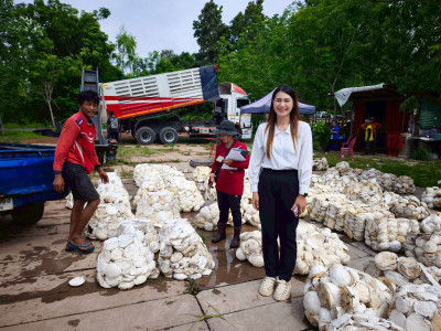 ติดตามการดำเนินงานธุรกิจรวบรวมผลผลิต(ยางพาราก้อนถ้วย) พารามิเตอร์รูปภาพ 1